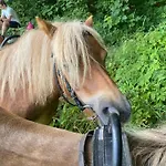 Morich - Urlaub Auf Dem Bauernhof Im Harz * Bad Lauterberg im Harz