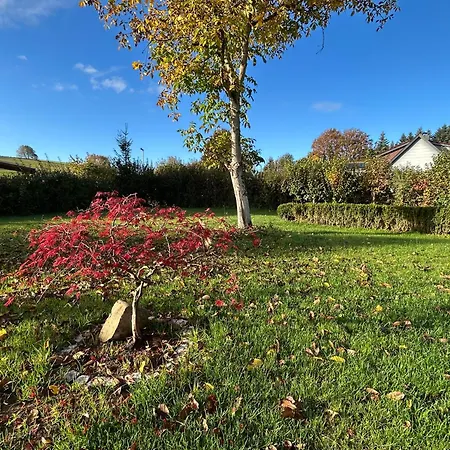 Appartement Morich - Urlaub Auf Dem Bauernhof Im Harz *